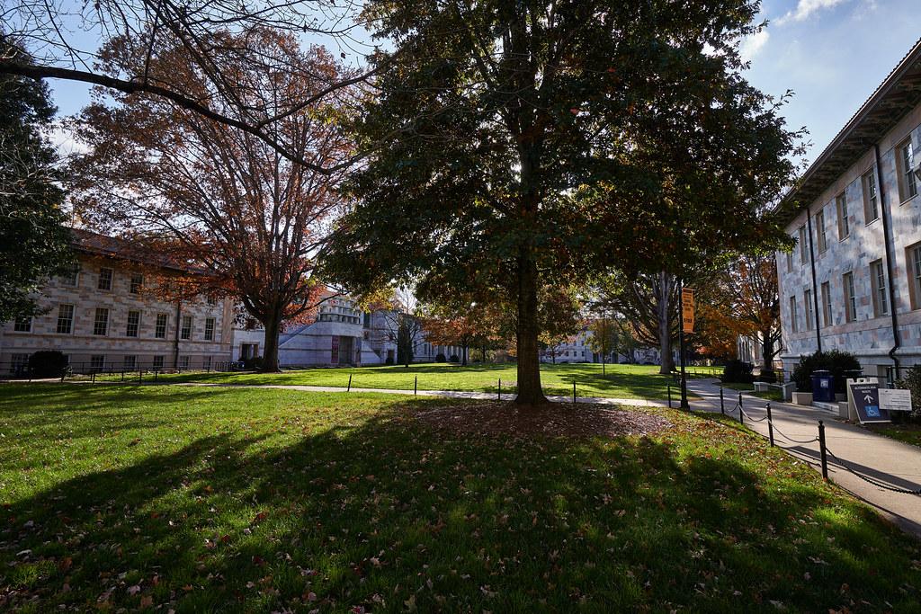 Emory University Reviews