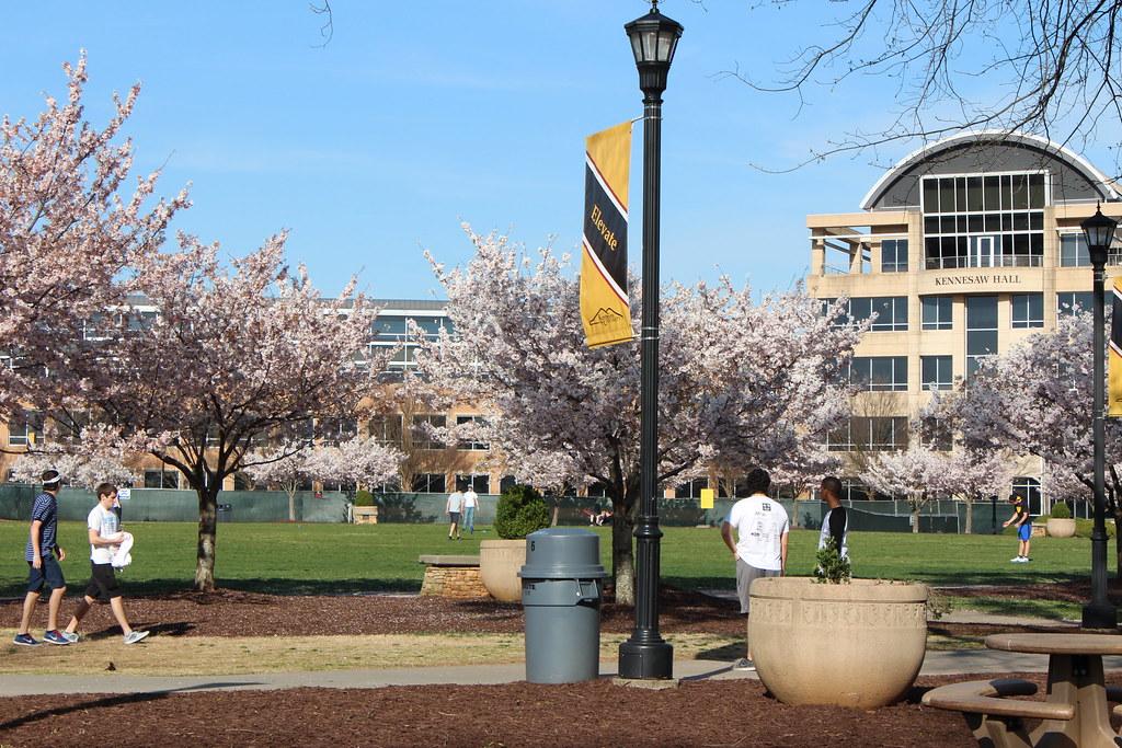 Undergraduate Majors Offered at Kennesaw State University